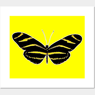 🦋 Zebra Longwing (Heliconius charithonia) Bold Butterfly Posters and Art